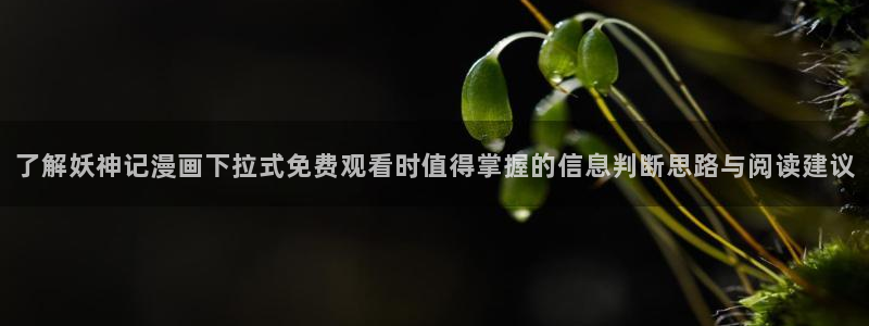 漫画免费看网页导航：了解妖神记漫画下拉式免费观看时值得掌握的信息判断思路与阅读建议