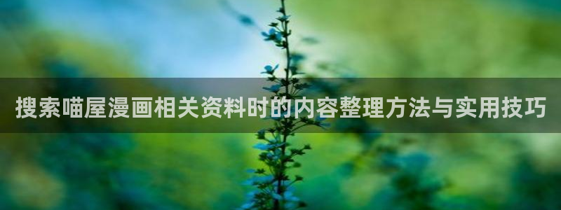 漫画免费看阅读网站：搜索喵屋漫画相关资料时的内容整理方法与实用技巧
