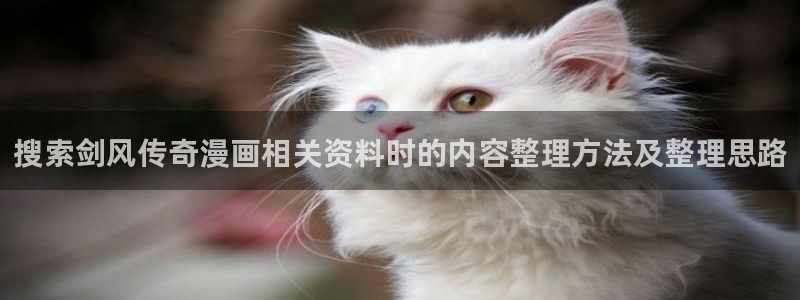 漫画免费看人气漫画:搜索剑风传奇漫画相关资料时的内容整理方法及整理思路