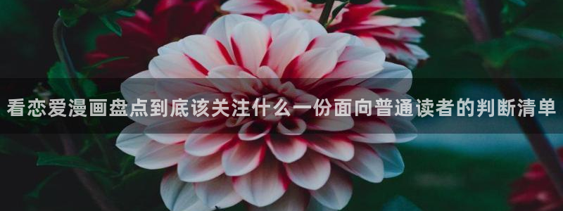漫画免费看入口：看恋爱漫画盘点到底该关注什么一份面向普通读者的判断清单